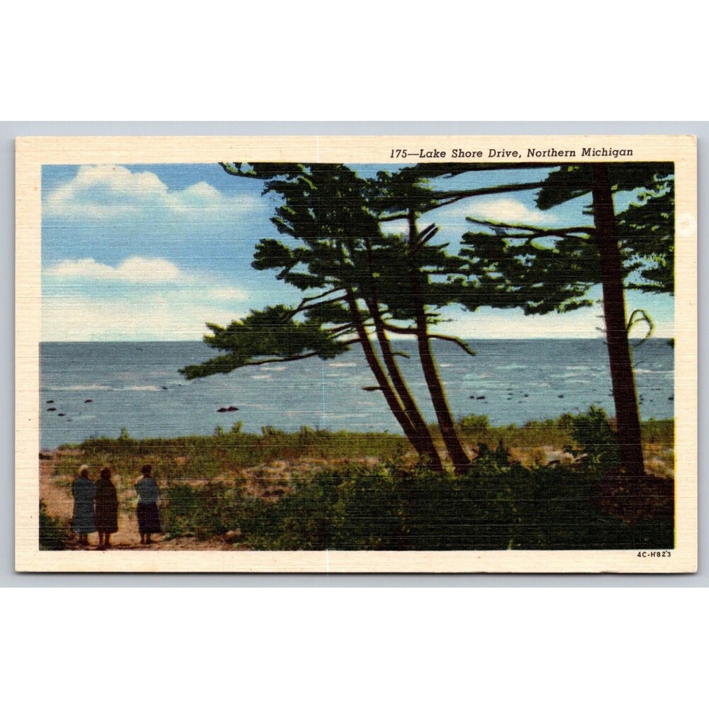Postcard Michigan Lake Shore Drive Northern MI Ladies Linen c1930s Unposted